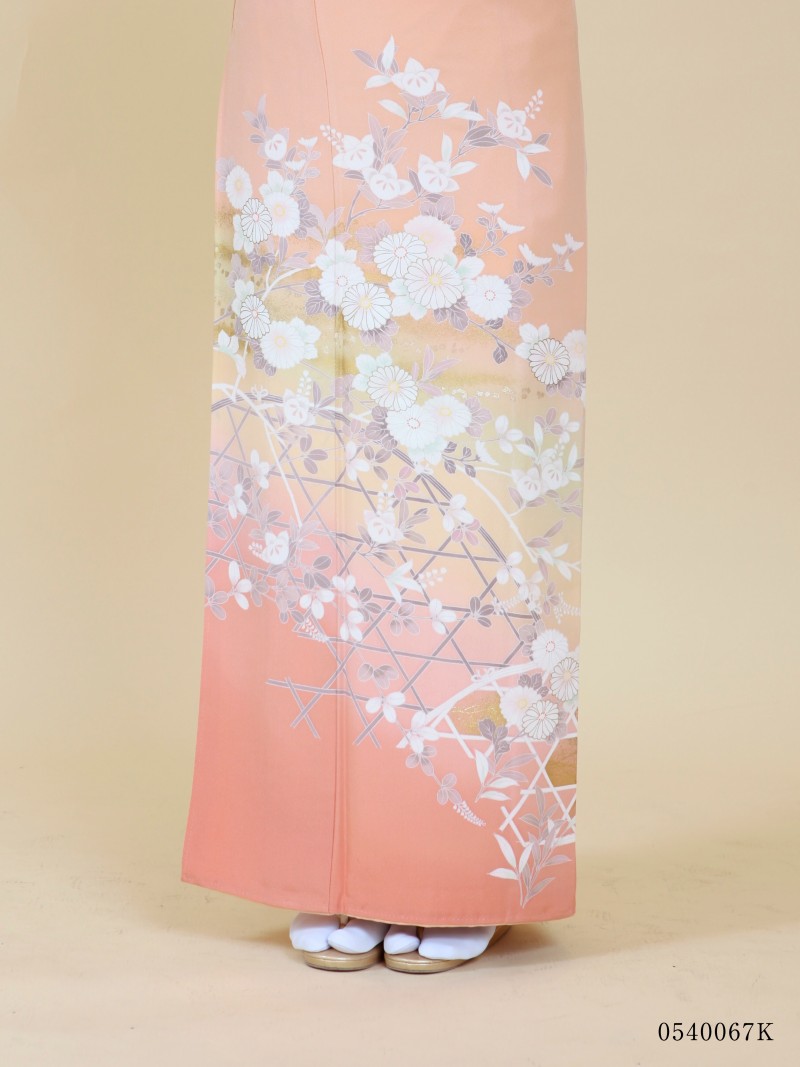 ピンクベージュ菊と橘の写真001